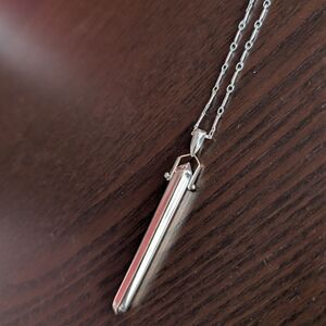 Stella & Dot Rebel Pendant Necklace - Silver